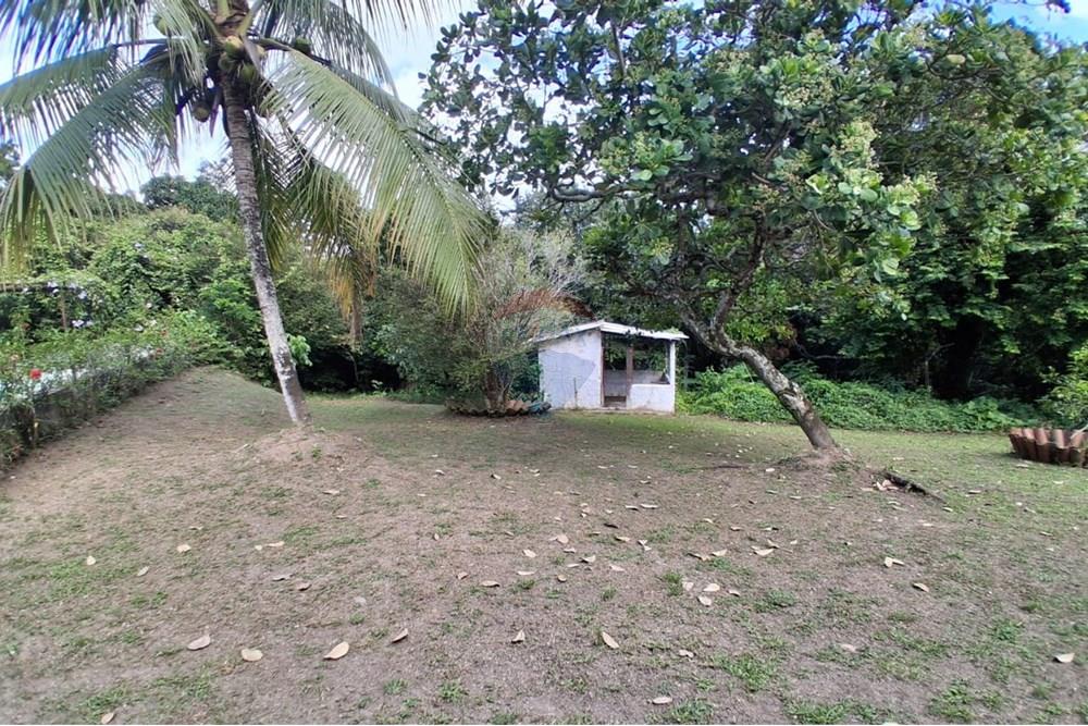 Chácara / Sítio / Fazenda - Venda - São Lourenço da Mata , Pernambuco - IMG-20251021-WA0129.jpg - 850091086-4