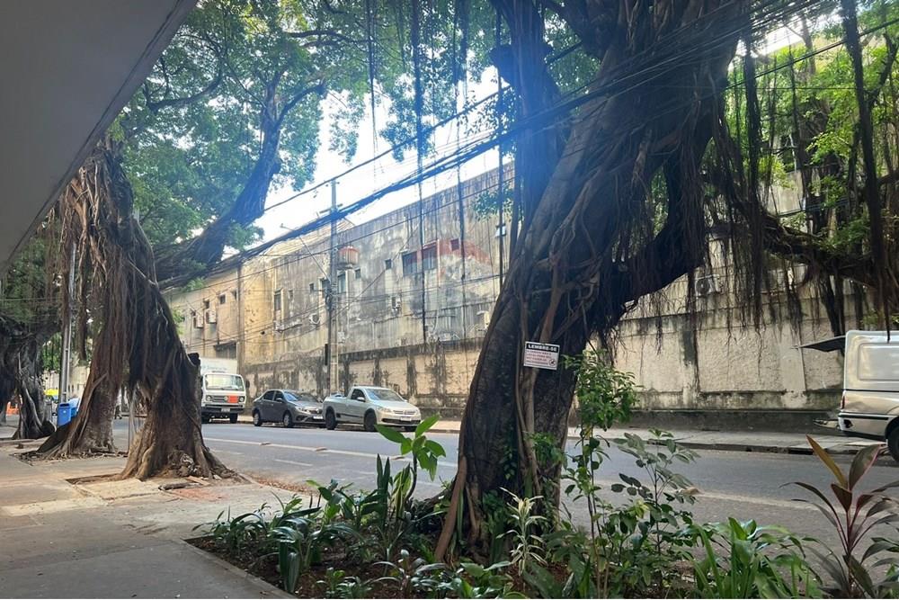 Apartamento - Alugar - Recife , Pernambuco - 3a2b4055-45e2-4975-b75d-4d197b900ebd.jpg - 850471068-48