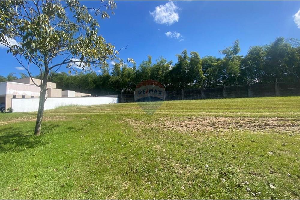 Terreno - Venda - Recife , Pernambuco - Imagem do WhatsApp de 2025-08-12 à(s) 08.24.42_636651b7.jpg - 850091046-386