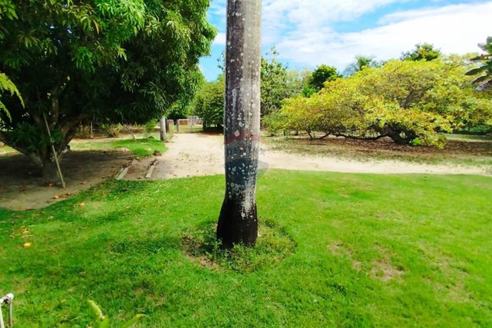 Chácara / Sítio / Fazenda - Alugar - Igarassu , Pernambuco - WhatsApp Image 2025-01-23 at 15.12.43.jpeg - 850071019-200