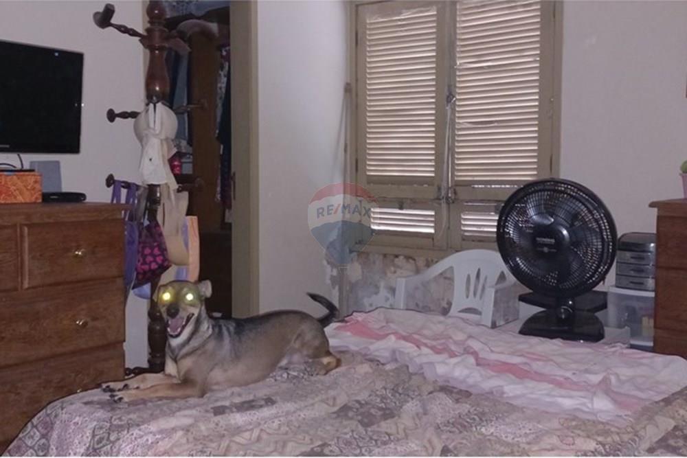 Cobertura - Venda - Recife , Pernambuco - 20260107_170912.jpg - 850071034-6