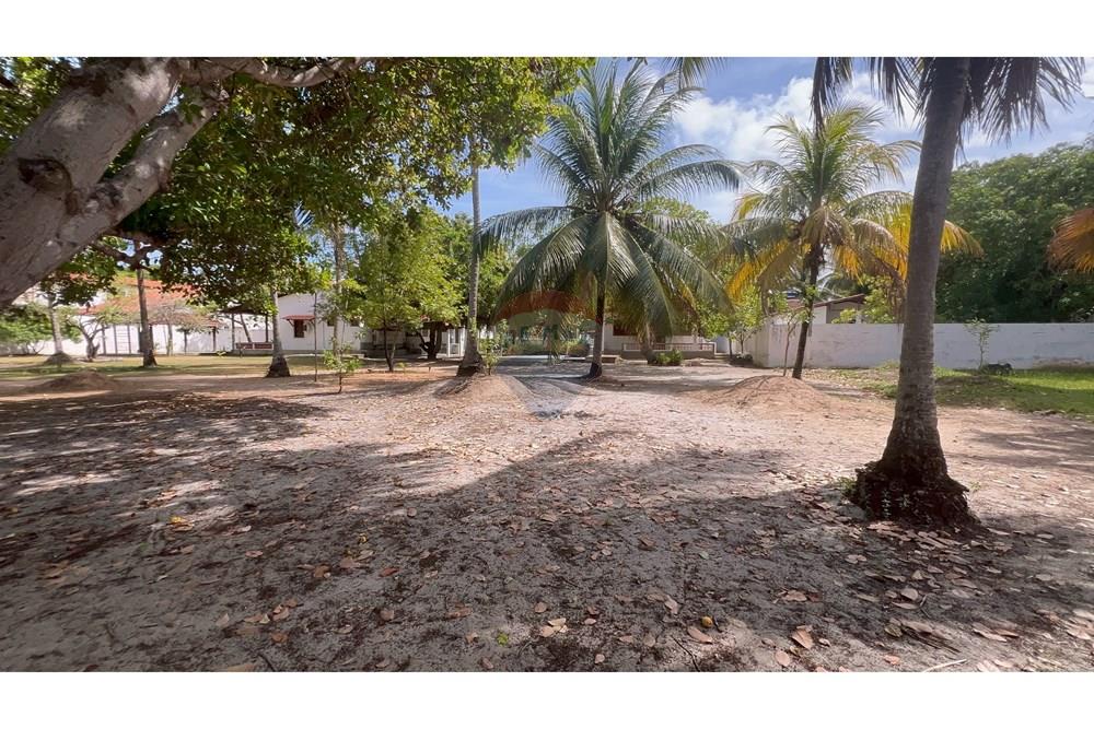 Terreno - Venda - Maragogi , Alagoas - IMG_0429.jpeg - 850271264-29