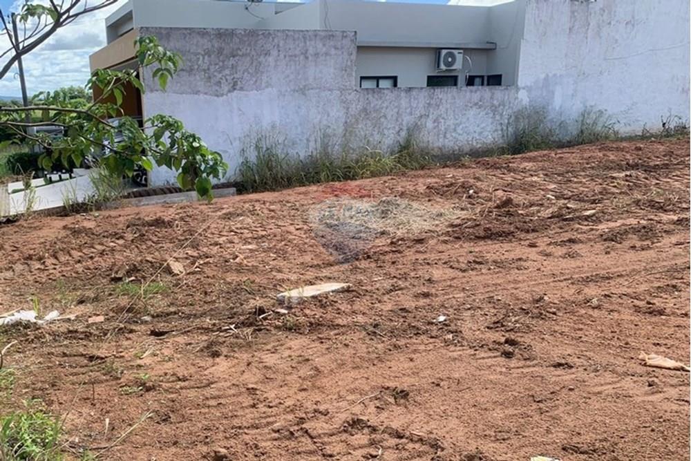 Terreno - Venda - Palmeira dos Índios , Alagoas - ee962e50-ab22-43b1-85b5-f09aed00dde0.jpg - 850271243-2