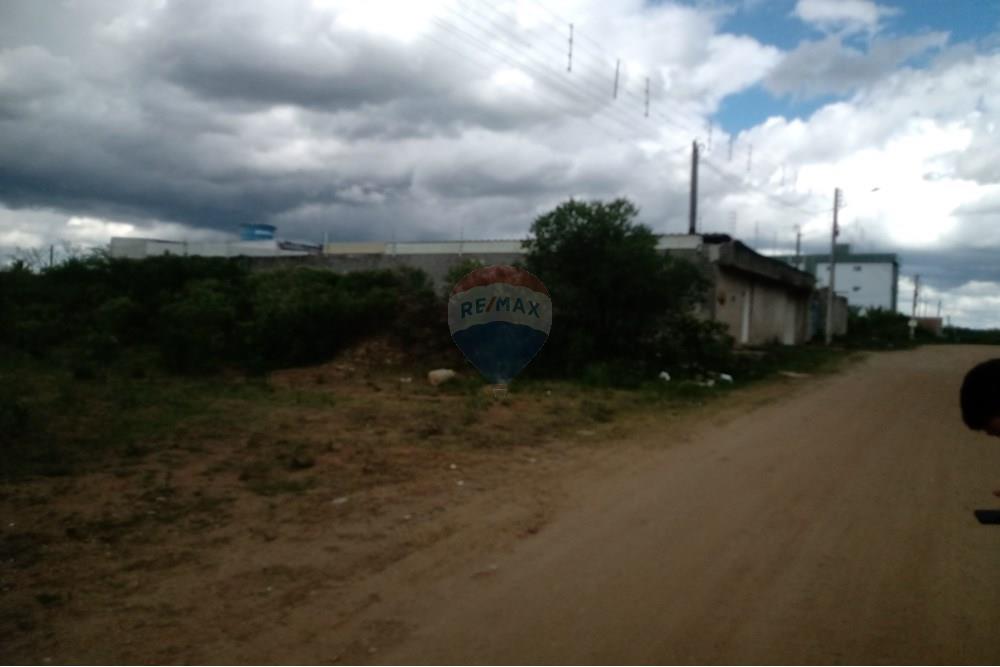 Terreno - Venda - Caruaru , Pernambuco - IMG_20250225_142105390.jpg - 850161001-475
