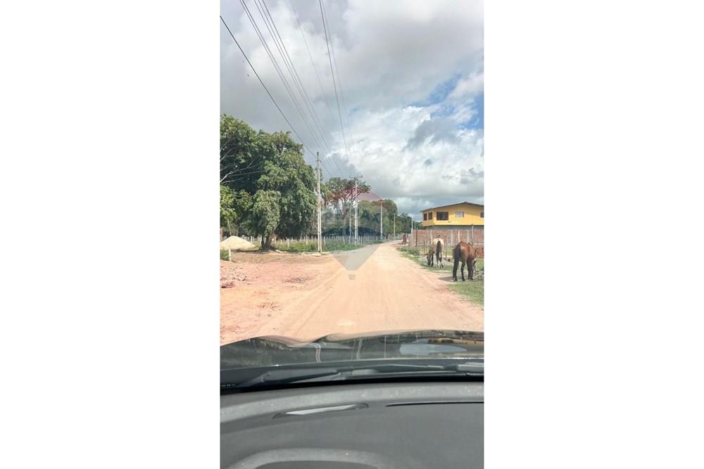 Terreno - Venda - Ipojuca , Pernambuco - 2.jpeg - 850221031-281