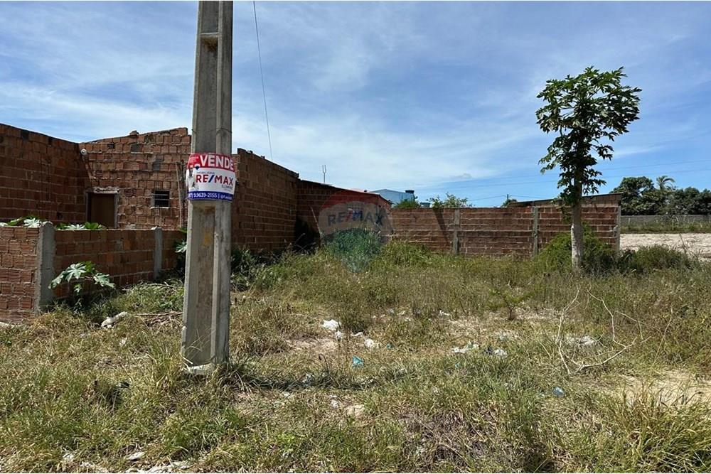 Terreno - Venda - Garanhuns , Pernambuco - WhatsApp Image 2025-05-13 at 21.24.53 (4).jpeg - 850131003-443