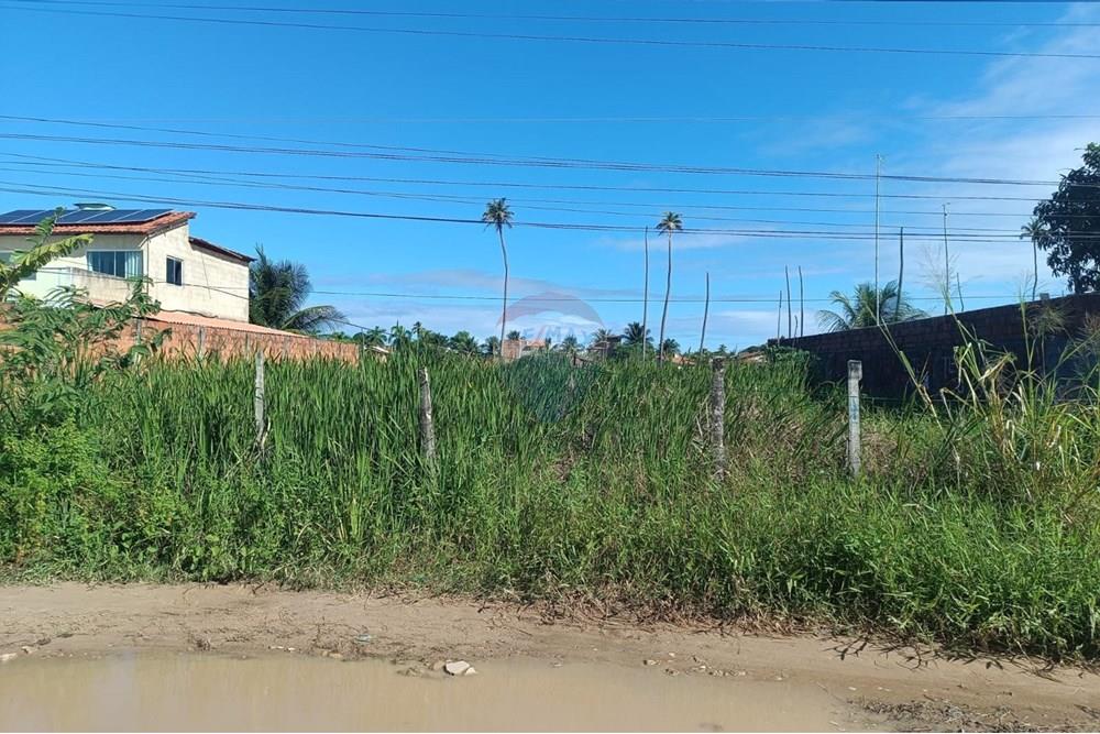 Terreno - Venda - Maceió , Alagoas - TERRENO NICAULA 11.jpg - 850141002-118