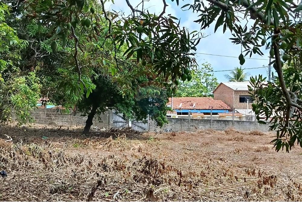 Terreno - Venda - Maceió , Alagoas - WhatsApp Image 2025-12-10 at 15.36.00 (2).jpeg - 850271159-435