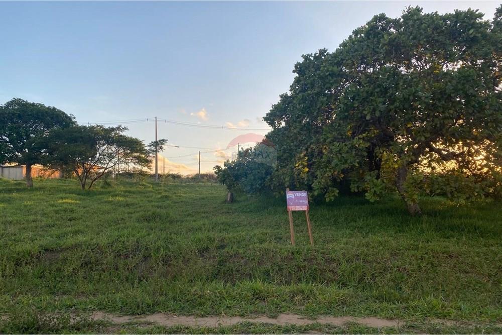 Terreno - Venda - Garanhuns , Pernambuco - WhatsApp Image 2026-03-27 at 15.40.55 (7).jpeg - 850741009-1