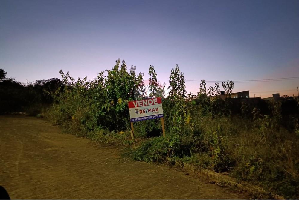 Terreno - Venda - Garanhuns , Pernambuco - WhatsApp Image 2025-11-06 at 19.25.10.jpeg - 850741008-1