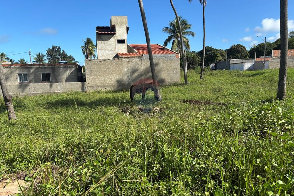 Terreno - Venda - Maragogi , Alagoas - IMG_5910.jpeg - 850291009-64