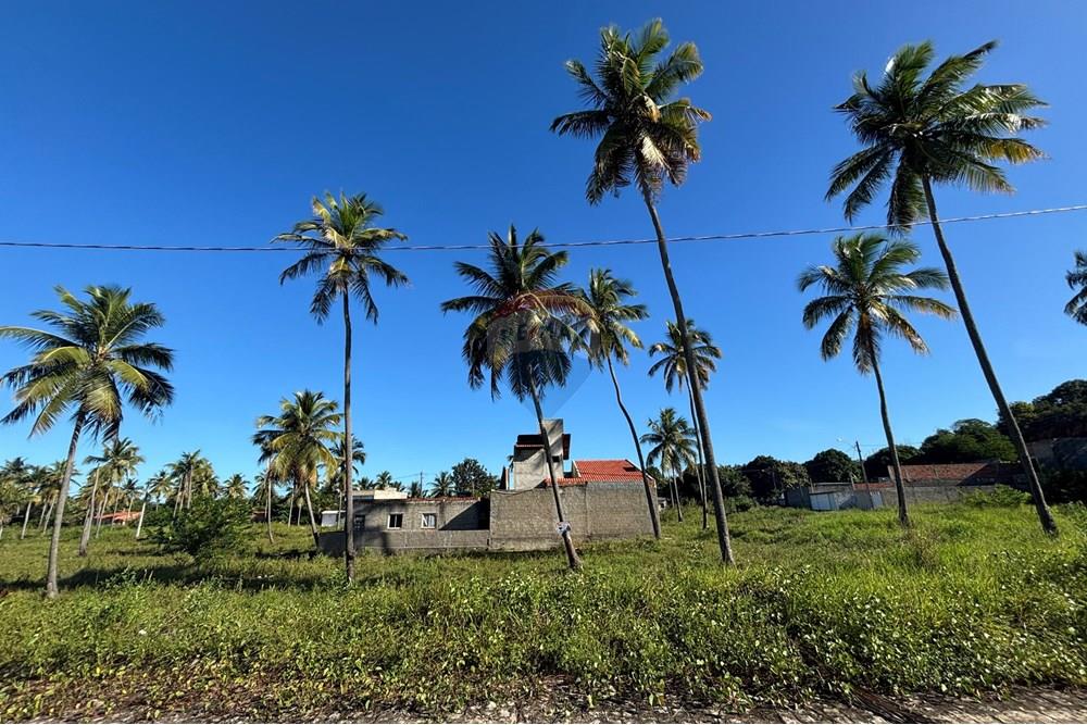 Terreno - Venda - Maragogi , Alagoas - IMG_6418.jpeg - 850291009-64
