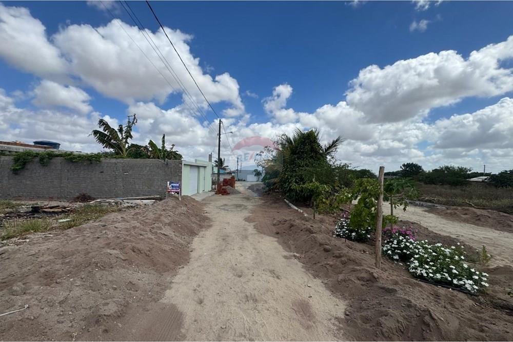 Terreno - Venda - São João , Pernambuco - WhatsApp Image 2026-02-11 at 08.53.14 (5).jpeg - 850131003-535