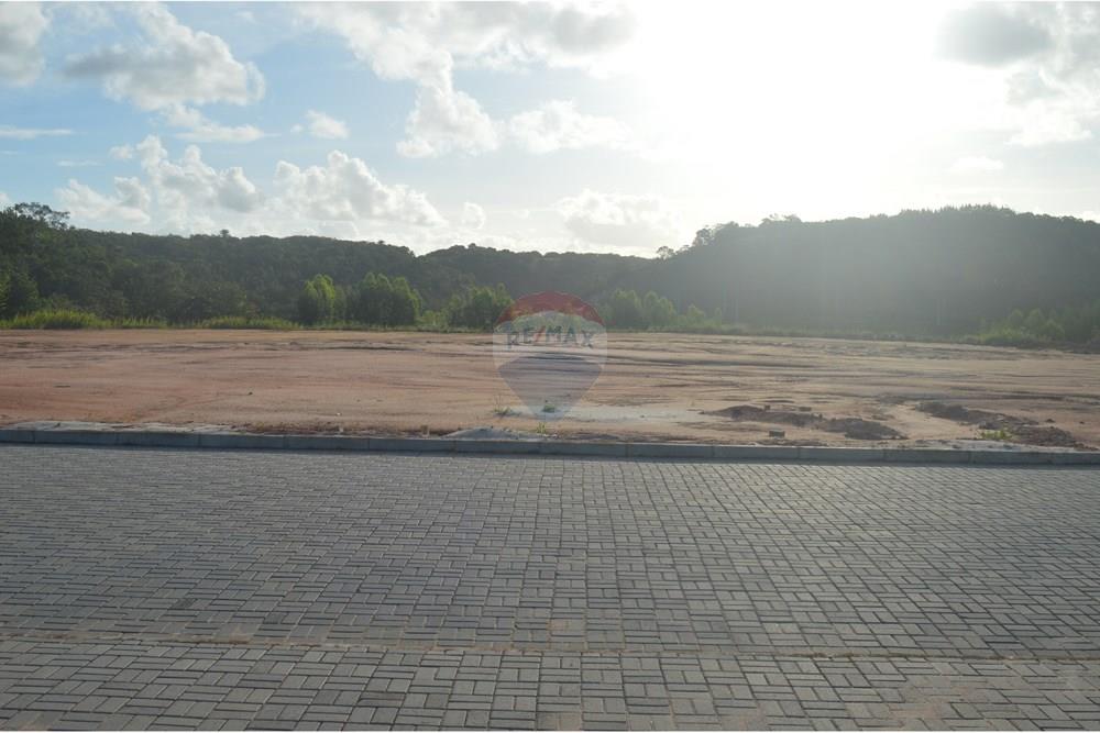 kereskedelmi - Föld - Maragogi , Alagoas - BR - DSC_0032.JPG - 850291008-85