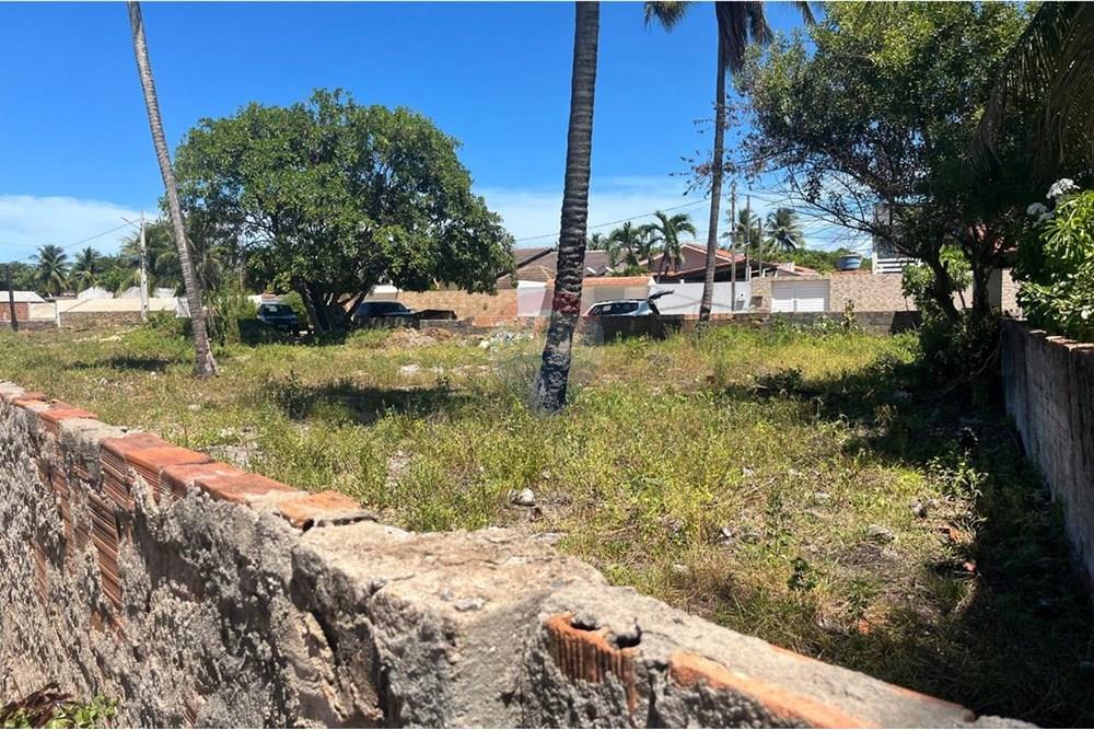 Terreno - Venda - Sirinhaém , Pernambuco - WhatsApp Image 2025-05-08 at 17.21.08 (2).jpeg - 850721002-153
