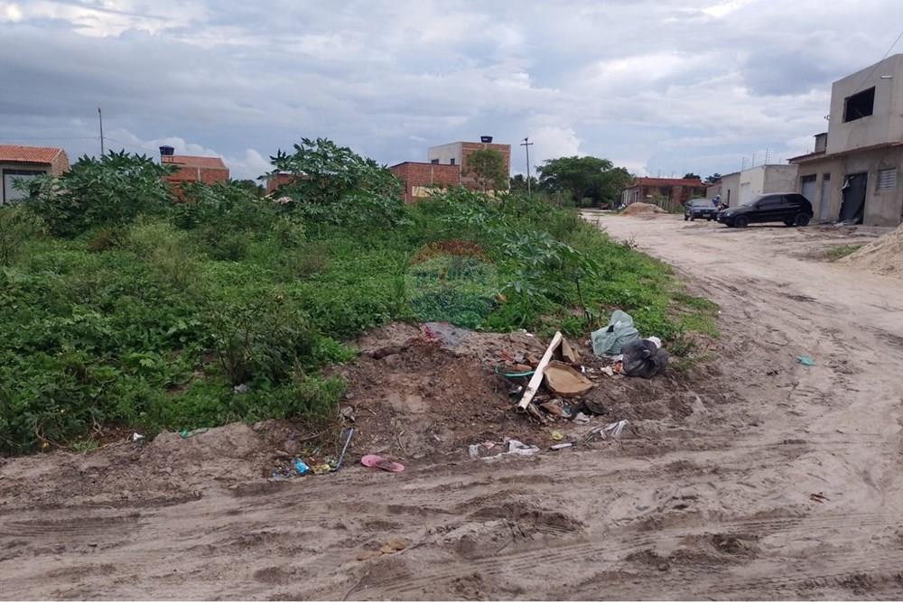 Terreno - Venda - Lajedo , Pernambuco - WhatsApp Image 2026-03-05 at 09.45.11 (1).jpeg - 850131018-87