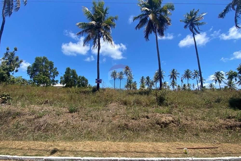 Terreno - Venda - Maragogi , Alagoas - IMG_1532.jpg - 850271264-8