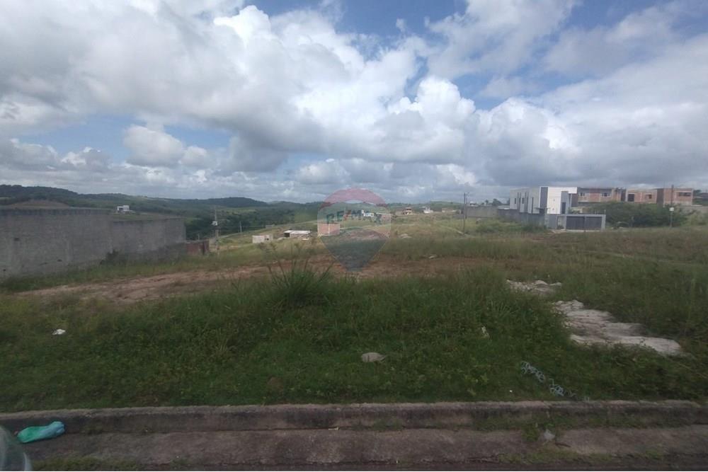 Terreno - Venda - Cabo de Santo Agostinho , Pernambuco - WhatsApp Image 2025-08-18 at 07.11.46 (2).jpeg - 850281028-46