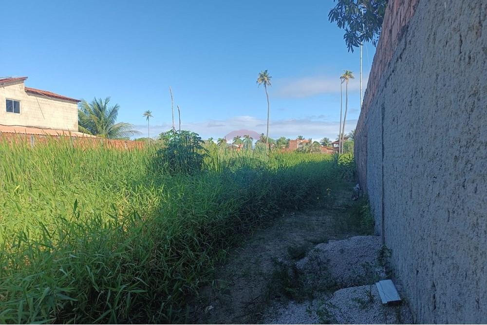 Terreno - Venda - Maceió , Alagoas - TERRENO NICAULA 2.jpg - 850141002-118