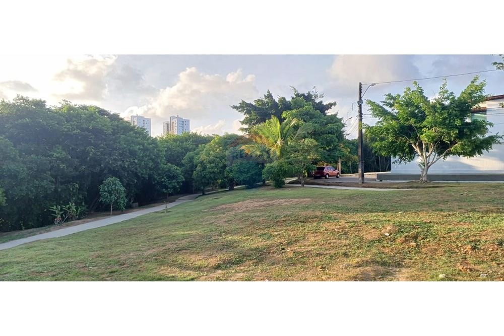 Casa de Condomínio - Venda - Maceió , Alagoas - WhatsApp Image 2025-03-17 at 13.22.57.jpeg - 850271220-4