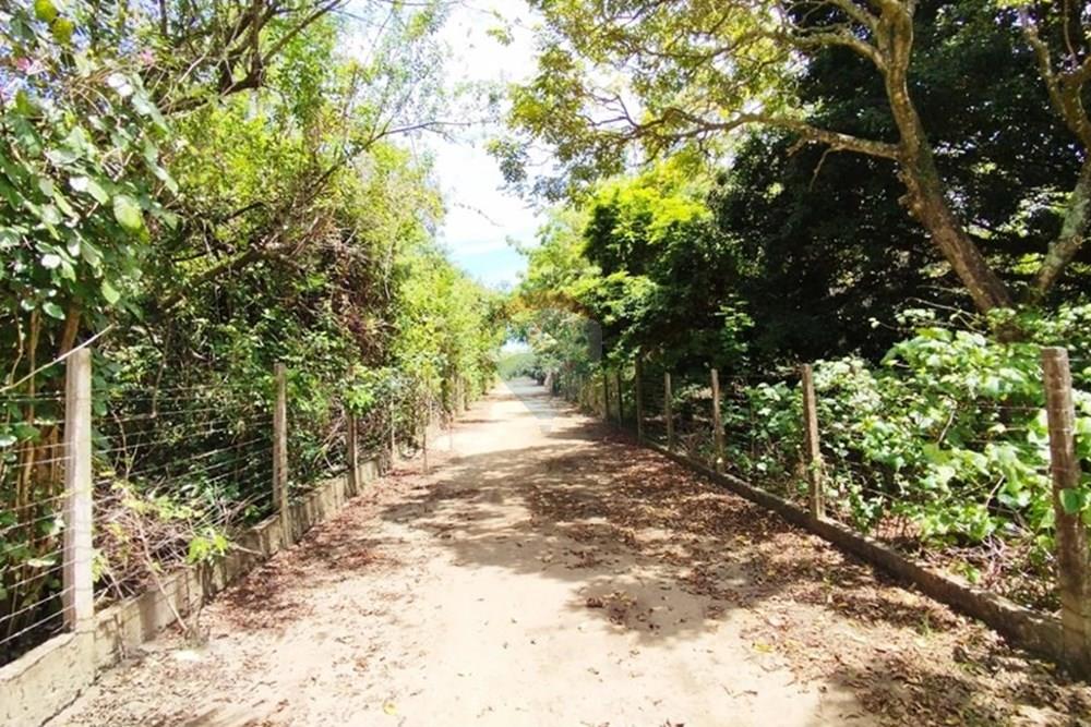 Chácara / Sítio / Fazenda - Alugar - Igarassu , Pernambuco - WhatsApp Image 2025-01-23 at 15.11.57.jpeg - 850071019-200