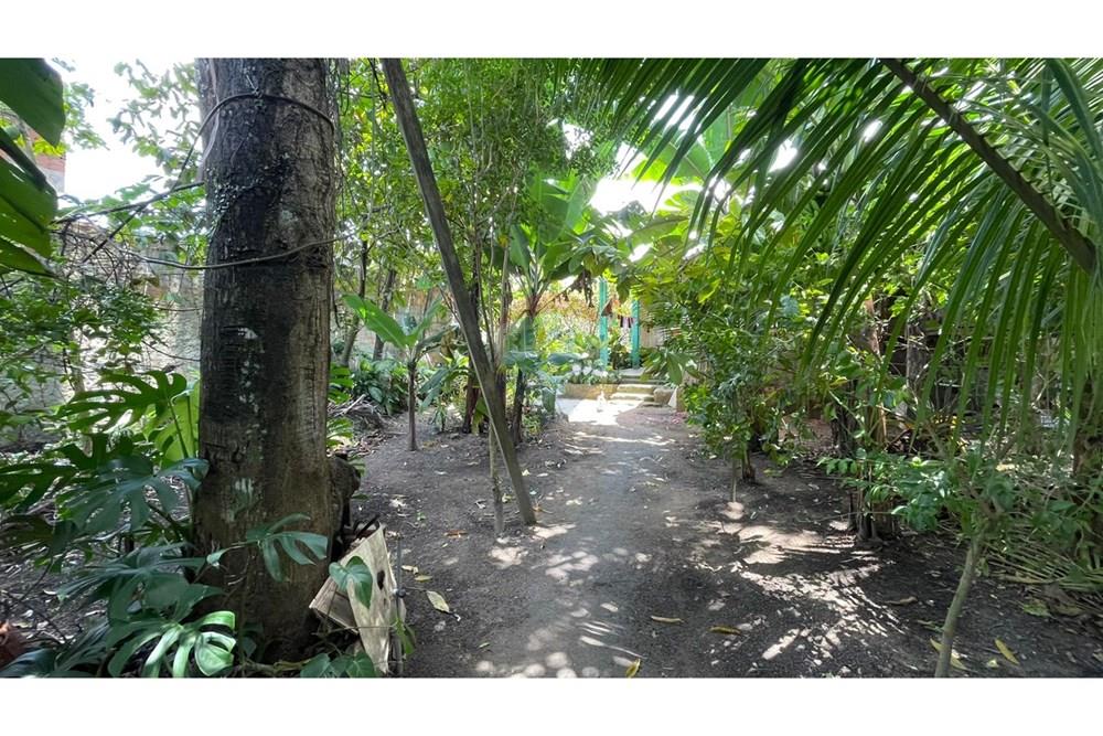 Chácara / Sítio / Fazenda - Venda - Maceió , Alagoas - 53c5014b-944e-471f-83e7-e1c781a0ffba.jpeg - 850271147-49