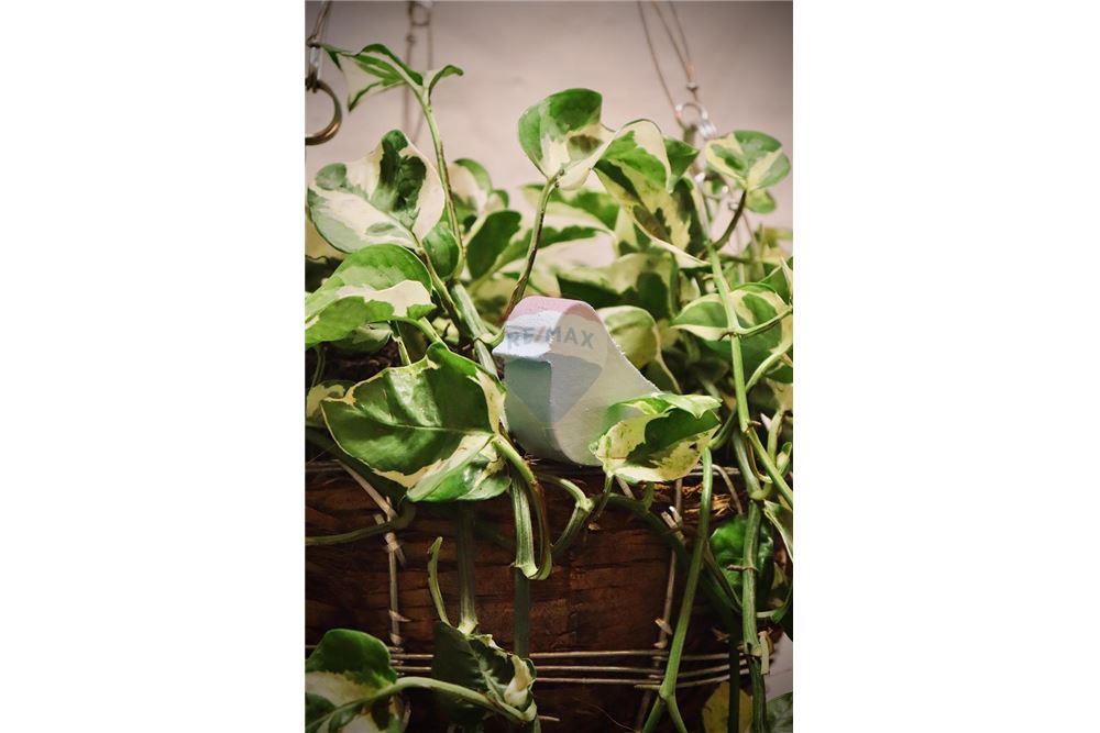 Cj. Comercial/ Sala - Alugar - Ipojuca , Pernambuco - 22 - 850221002-497