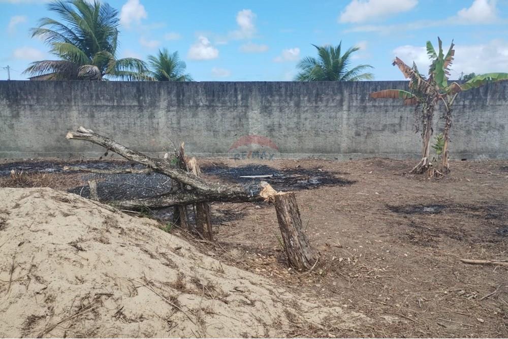 Terreno - Venda - Abreu e Lima , Pernambuco - WhatsApp Image 2025-10-22 at 15.24.19 (4).jpeg - 850721009-19