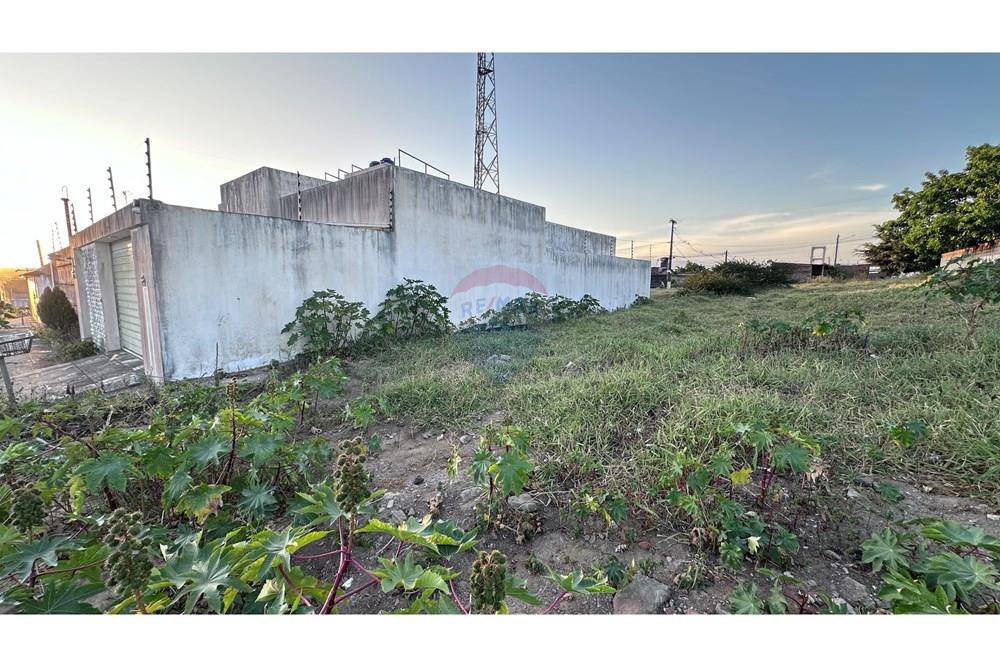 Terreno - Venda - Garanhuns , Pernambuco - IMG_2895.JPG - 850741006-8