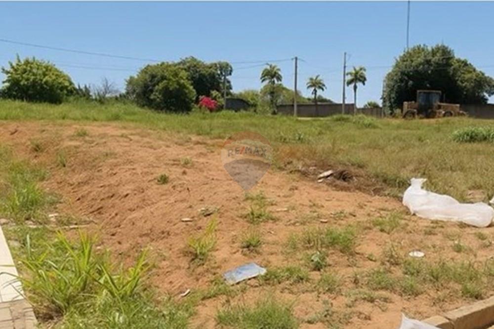 Terreno - Venda - Palmeira dos Índios , Alagoas - transferir (1).jpg - 850271243-2