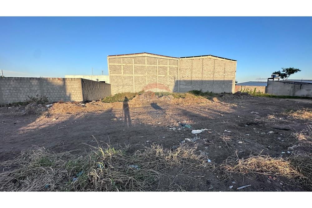 Terreno - Venda - Garanhuns , Pernambuco - IMG_2862.JPG - 850741006-7