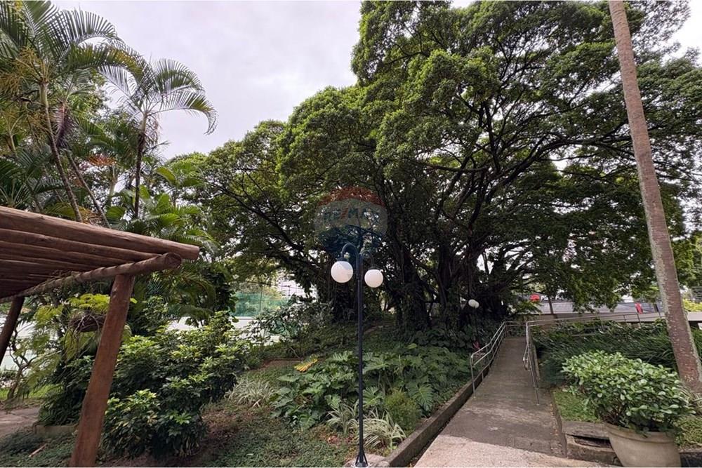 Apartamento - Venda - Recife , Pernambuco - EDF CASA GRANDE DE SANTANNA AP 801 - JARDIM.JPEG - 850071032-138