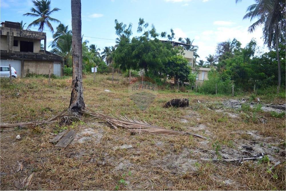 Residential - Land - Maragogi , Alagoas - BR - 942553ff-a04d-4751-97ce-56df9f4d5d4e.jpeg - 850291009-32