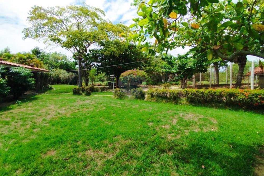 Chácara / Sítio / Fazenda - Alugar - Igarassu , Pernambuco - WhatsApp Image 2025-01-23 at 15.12.42 (2).jpeg - 850071019-200