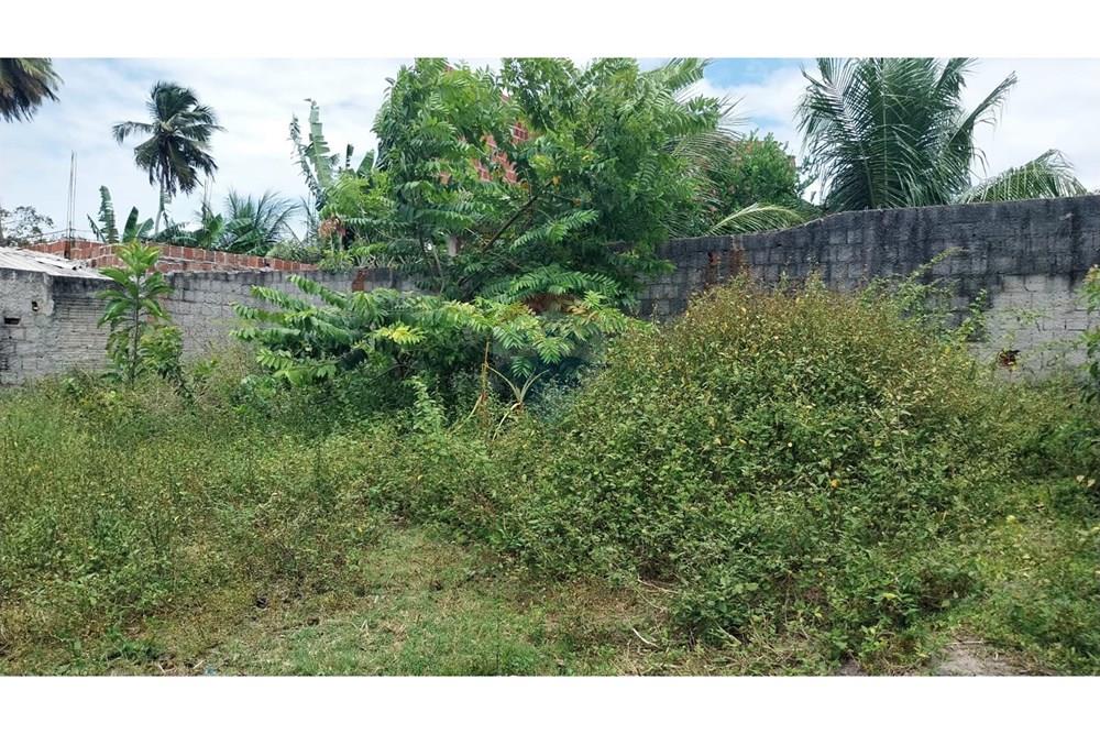 Terreno - Venda - Igarassu , Pernambuco - b481e6d0-5949-4c85-af8e-eb8955168fd2.jpg - 850251079-63
