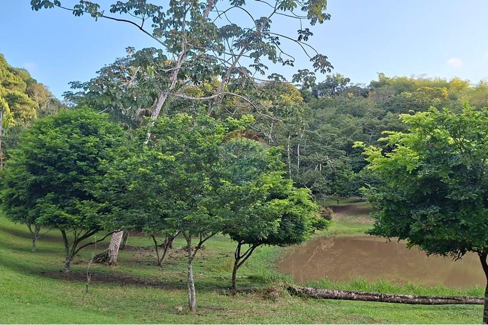 Terreno - Venda - Camaragibe , Pernambuco - WhatsApp Image 2025-08-22 at 15.09.44 (3).jpeg - 850091072-20