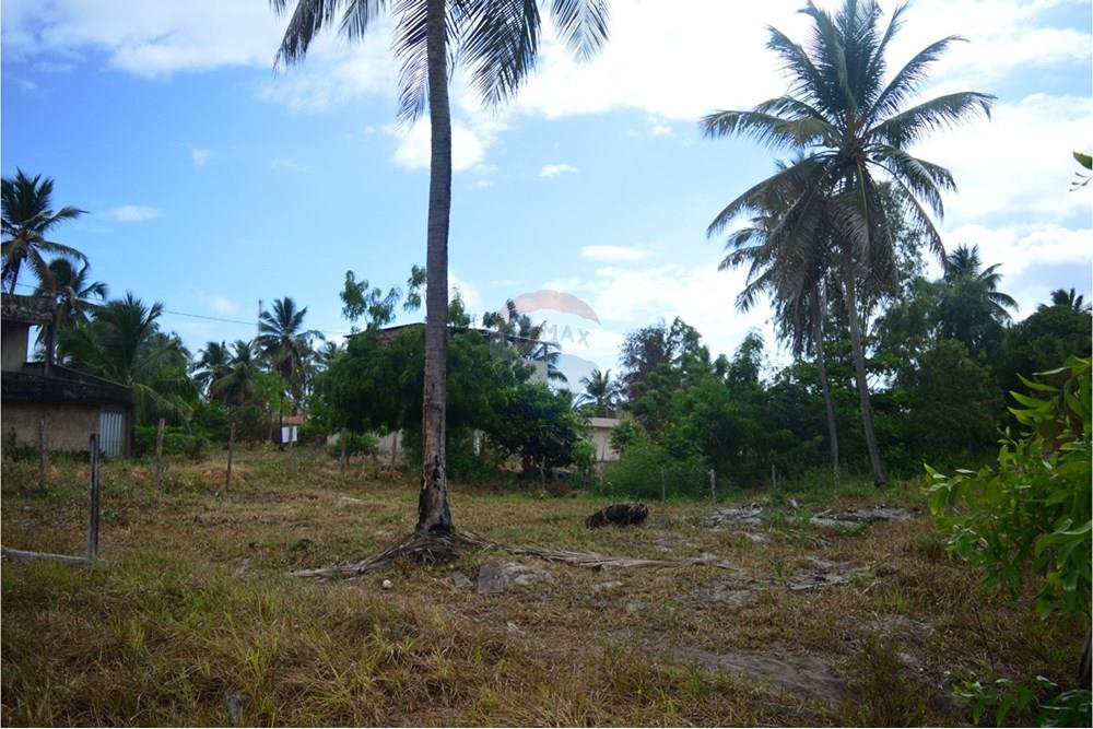 Elamine - Kinnistu - Maragogi , Alagoas - BR - WhatsApp Image 2024-12-07 at 15.44.09 (2).jpeg - 850291009-33