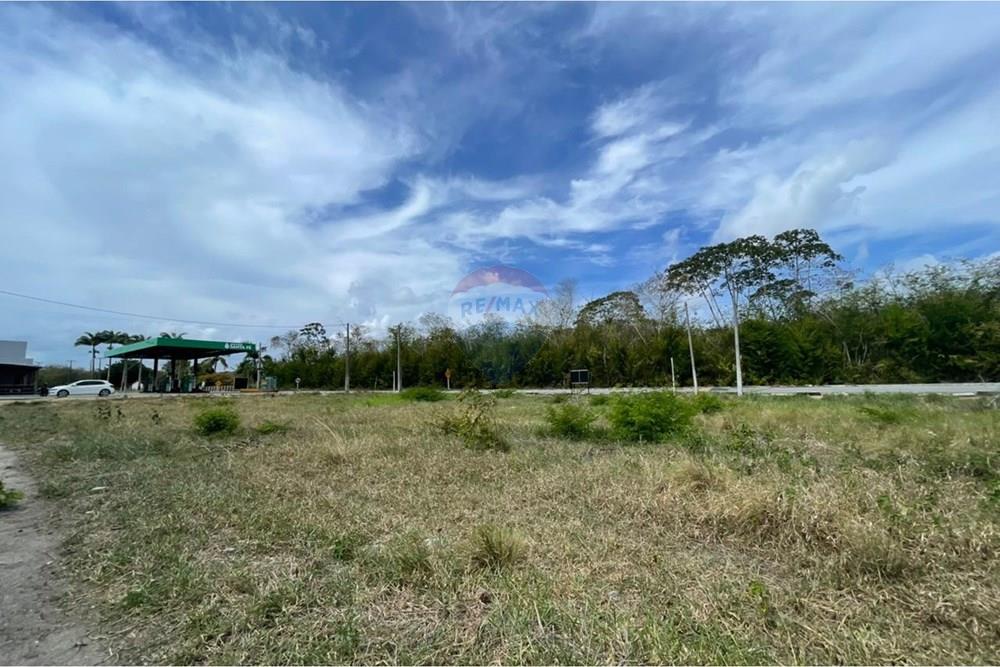 Terreno - Venda - Coqueiro Seco , Alagoas - WhatsApp Image 2026-01-19 at 12.18.03 (2).jpeg - 850271280-2