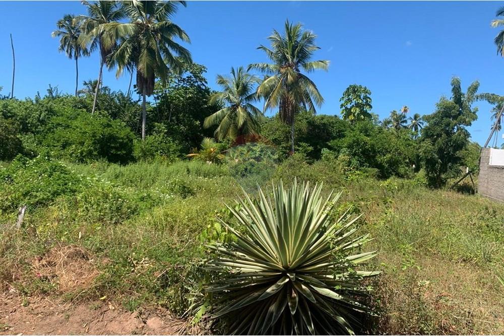 Terreno - Venda - Porto de Pedras , Alagoas - 6.jpg - 850271286-55