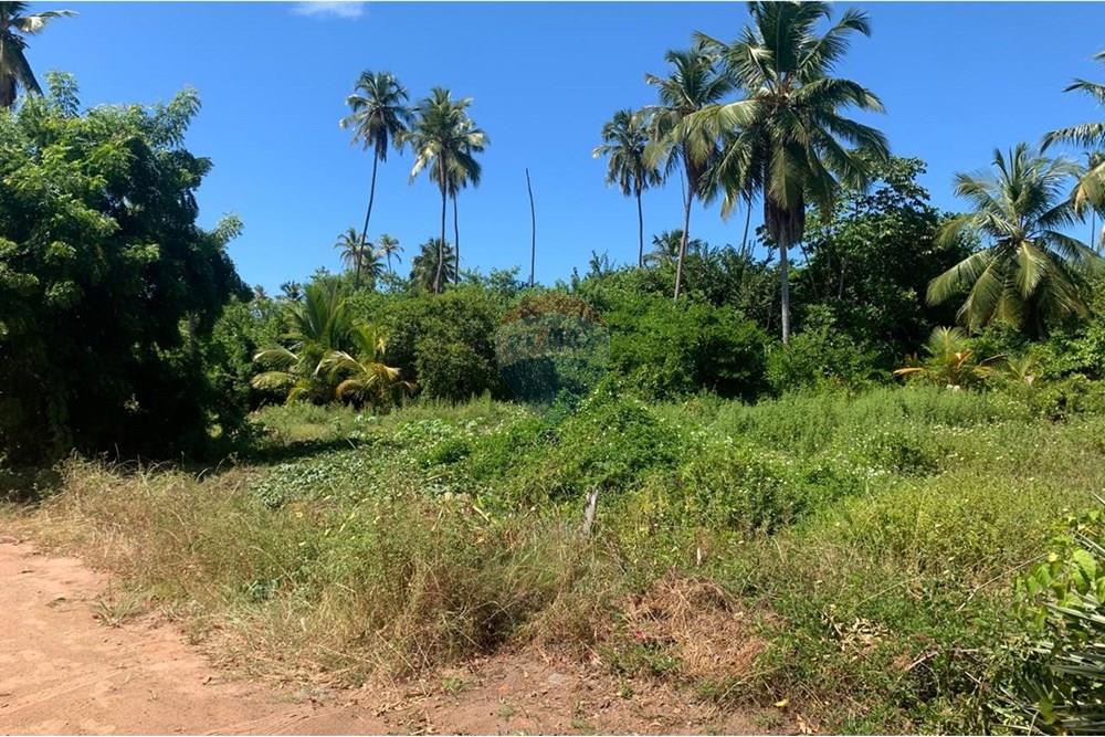 Terreno - Venda - Porto de Pedras , Alagoas - 9.jpg - 850271286-55