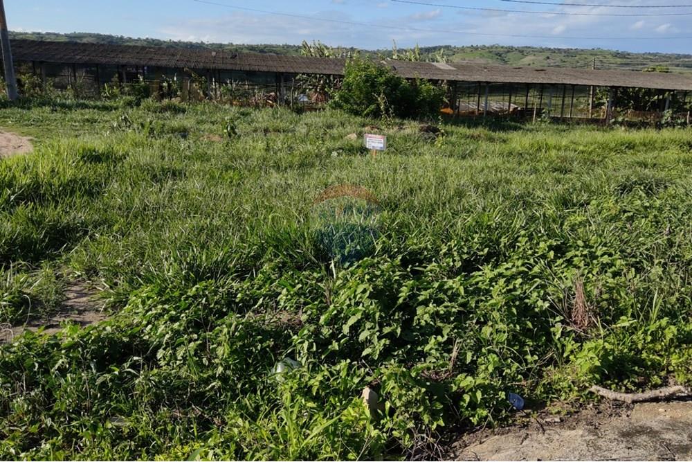 Terreno - Venda - Bonito , Pernambuco - WhatsApp Image 2025-03-10 at 08.44.20.jpeg - 850051012-95