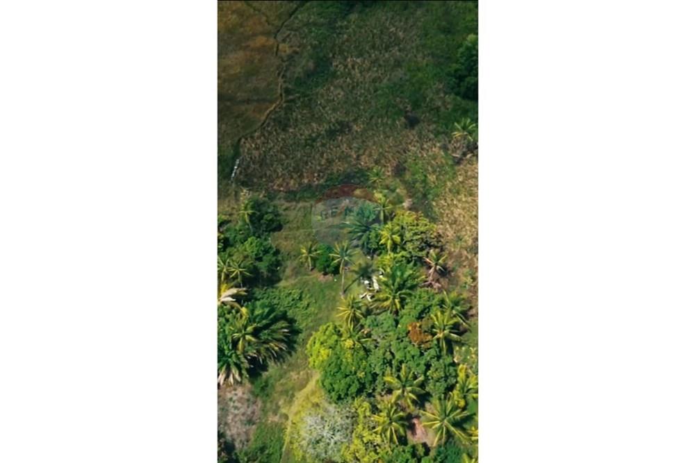 Chácara / Sítio / Fazenda - Venda - Marechal Deodoro , Alagoas - WhatsApp Image 2026-01-09 at 11.31.01.jpeg - 850711032-23