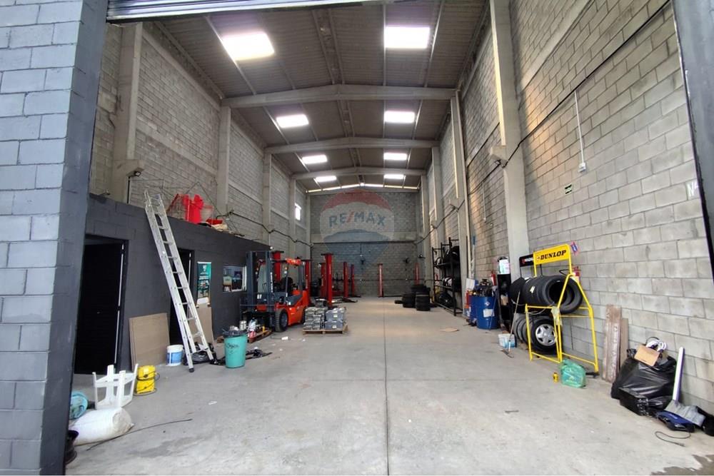 Galpão - Alugar - Recife , Pernambuco - WhatsApp Image 2026-03-30 at 15.02.28.jpeg - 850191024-505