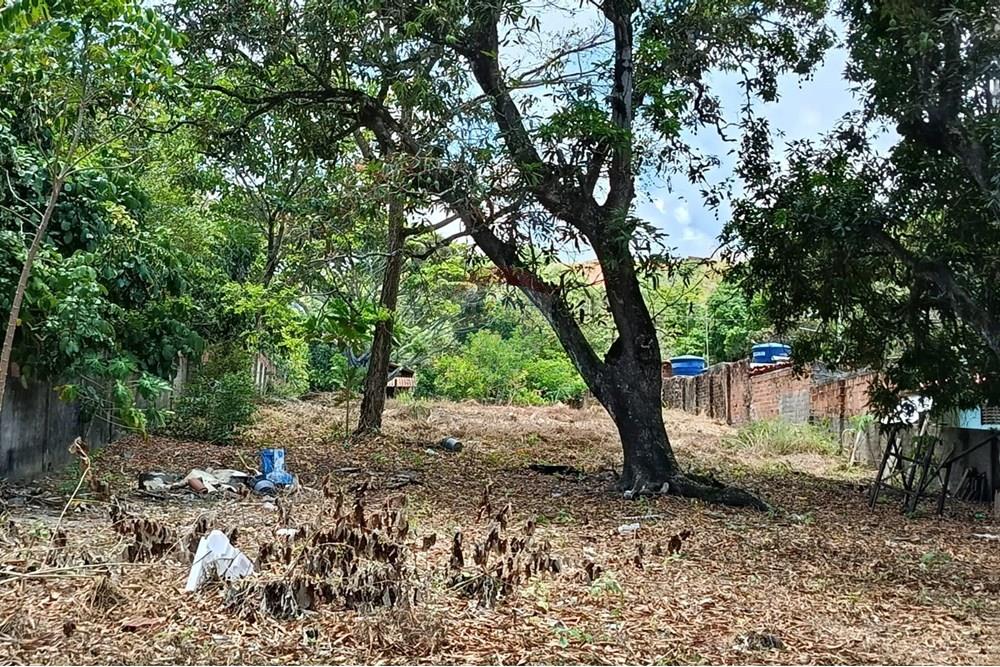 Terreno - Venda - Maceió , Alagoas - WhatsApp Image 2025-12-10 at 15.35.57 (2).jpeg - 850271159-435