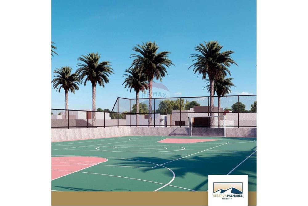 Terreno - Venda - União dos Palmares , Alagoas - Imagem do WhatsApp de 2025-11-26 à(s) 17.42.33_c90e7280.jpg - 850141085-24