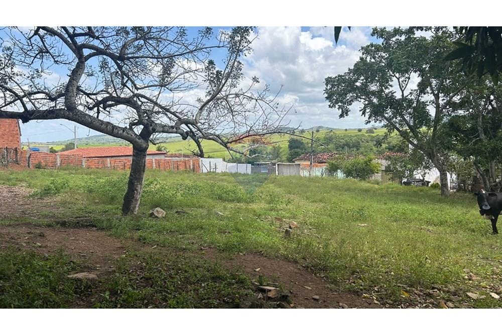 Terreno - Venda - Taquarana , Alagoas - IMG-20251006-WA0038.jpg - 850711017-14
