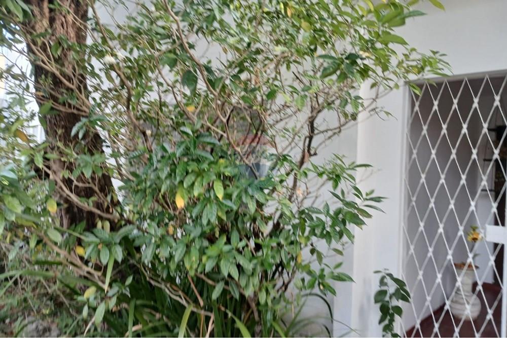 Casa - Venda - Recife , Pernambuco - WhatsApp Image 2026-01-23 at 15.13.23.jpeg - 850301025-66