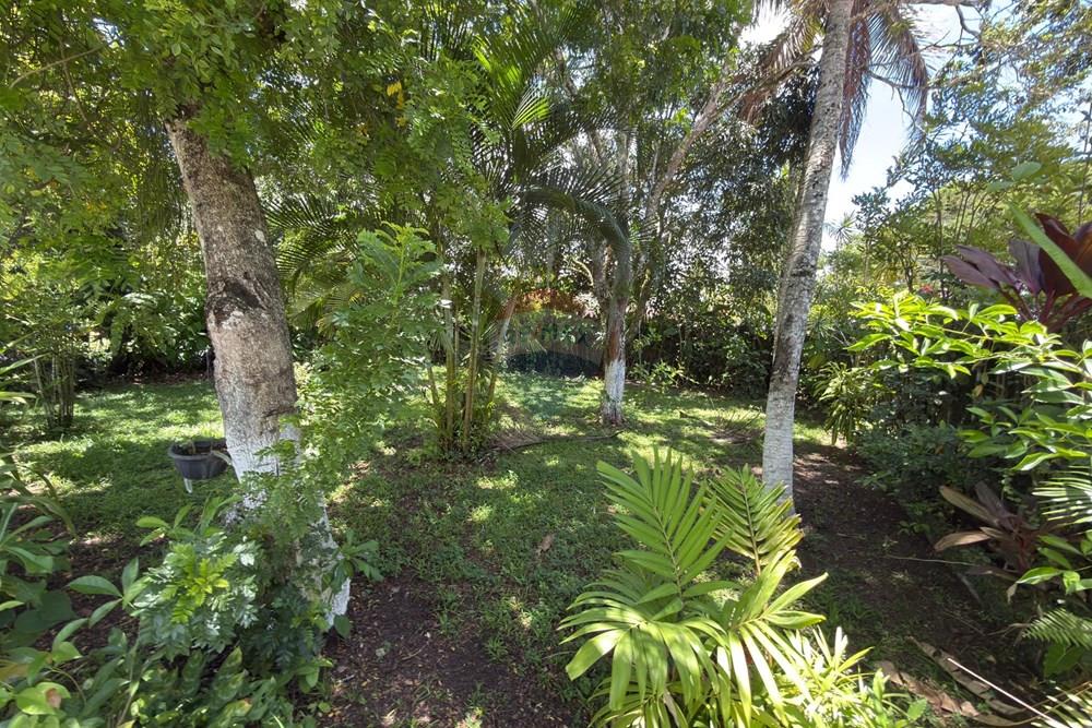 Chácara / Sítio / Fazenda - Venda - Camaragibe , Pernambuco - WhatsApp Image 2026-03-04 at 14.56.13 (1).jpeg - 850701030-9