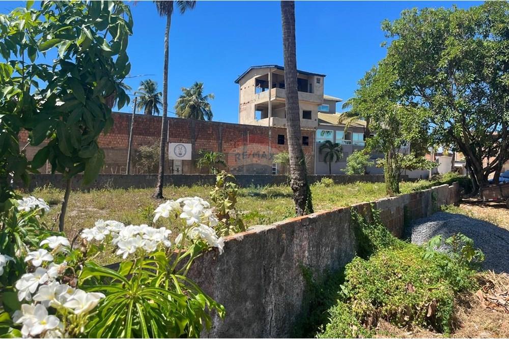 Terreno - Venda - Sirinhaém , Pernambuco - WhatsApp Image 2025-05-08 at 17.21.04 (2).jpeg - 850721002-153