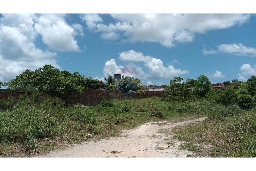 Terreno - Venda - Cabo de Santo Agostinho , Pernambuco - WhatsApp Image 2025-03-15 at 17.20.56 (1).jpeg - 850281025-39